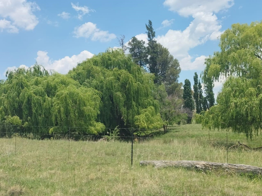 0 Bedroom Property for Sale in Bethlehem Rural Free State